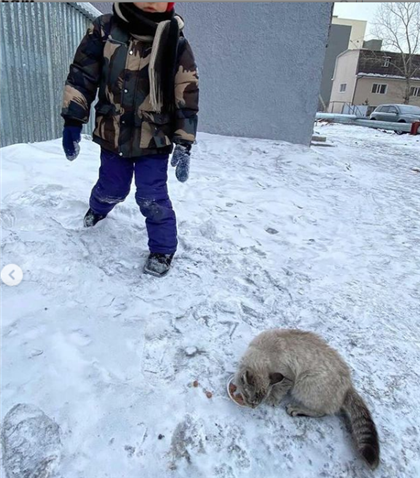 «Веришь, что все не так плохо»: маленький казахстанец спас котенка и построил ему дом