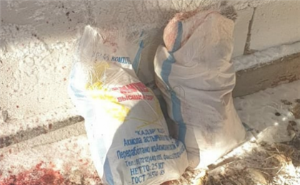 Четыре туши косули обнаружили у браконьера полицейские в Карагандинской области