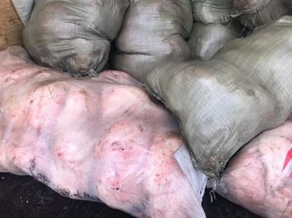 Казахстанец торговал гнилой бараниной на рынке в Оренбурге