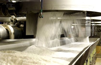 В Жамбылской области построят новый сахарный завод