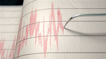 Землетрясение произошло в 591 км от Алматы