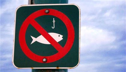 Запрет на рыбалку ввели на Или, Балхаше и Капшагае