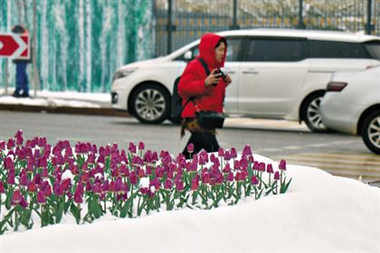 Глобальное потепление несет для Казахстана летнюю засуху, весенние заморозки и зимние дожди - эксперт