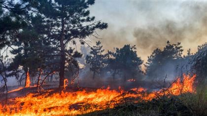 В трех регионах РК наблюдается смог от пожаров в России