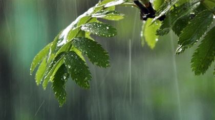 26 мая в РК местами пройдут дожди
