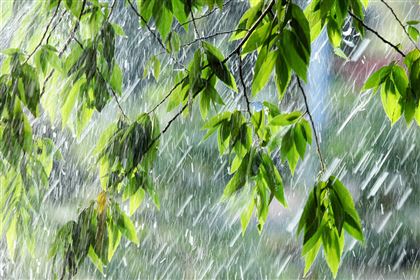 Второго июня на большей части РК пройдут дожди с грозами