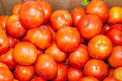 Ввоз томатов и перца из Туркменистана временно запретили в Казахстане