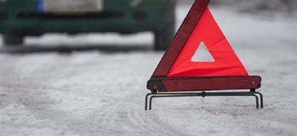 В Алматинской области автоледи сбила 4-летнюю девочку