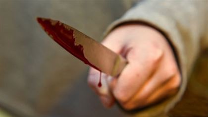 Ножевые ранения нанес брату житель Алматинской области