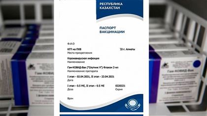 Вопрос о взаимном признании паспортов вакцинации обсуждают Казахстан и Россия