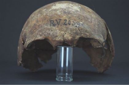 В найденном в Латвии скелете нашли самый древний штамм чумы