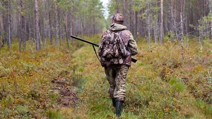 Новые лимиты установлены для казахстанских охотников