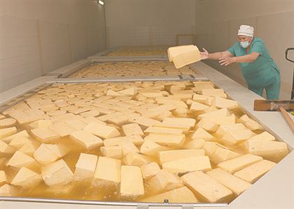 Казахам свой сыр не нужен: мы едим подделки из России