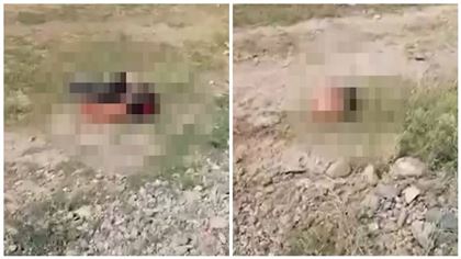 В Жамбылской области возле трассы обнаружили тело подростка с оторванной головой