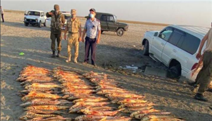 В Каспийском море незаконно выловили рыбу на 136 млн тенге