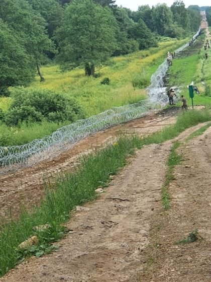 Польша решила построить 2,5-метровый забор на границе с Белоруссией