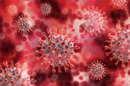 Инфекционист заявил, что существует угроза появления микст-инфекций коронавируса и гриппа