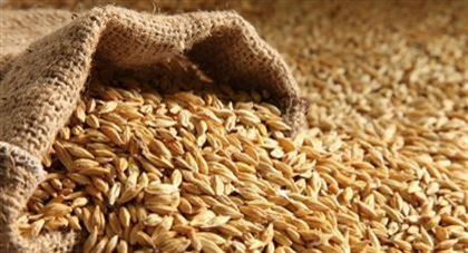 Возобновлены поставки зерна и муки из Казахстана в Афганистан
