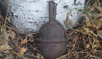 В СКО подросток нашел гранату на пустыре