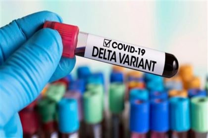 Ученые предупредили об опасной мутации дельта-штамма коронавируса