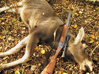 В Восточном Казахстане защитники природы бьют тревогу: чем больше на руках охотничьих ружей, тем беднее фауна края