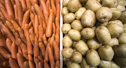 В РК ввели запрет на вывоз картофеля, моркови и скота