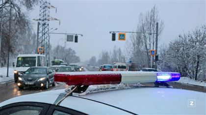 За кражу 30 деревянных щитов для снегозадержания задержан пенсионер в Акмолинской области