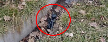 Собака нашла гранатомёт в алматинском арыке 