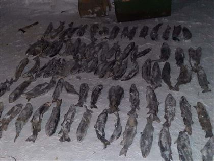 В ВКО у браконьера изъяли почти 130 кг рыбы