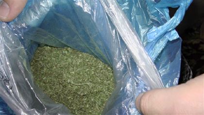 Почти 3 кг марихуаны изъяли полицейские Жамбылской области