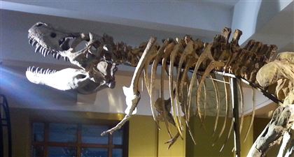 Парк Юрского периода по-казахски: каких динозавров нашли на территории Казахстана