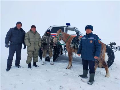 В Амангельдинском районе спасатели нашли пропавшего пастуха