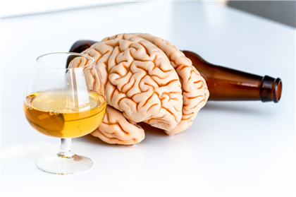 Учёные выяснили, какое количество алкоголя уменьшает размер мозга