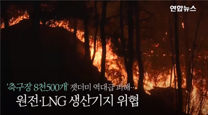 Южную Корею охватили пожары и добрались до атомной электростанции