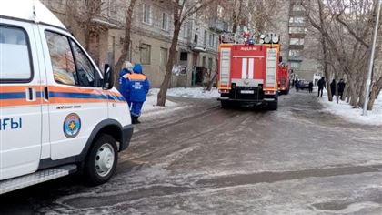 В Павлодаре пожарные спасли мужчину и его питомца