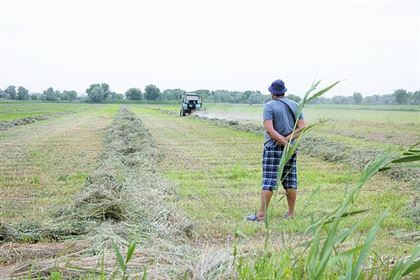 Казахстанские фермеры просят "нагрузить" их еще одним налогом. И избавить от давления акиматов