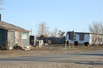На нехватку пастбищ жалуются сельчане Павлодарской области