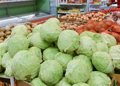 Овощи по ценам ниже рыночных будут реализовываться в торговых сетях столицы