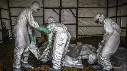 В Конго умер последний заболевший лихорадкой Эбола