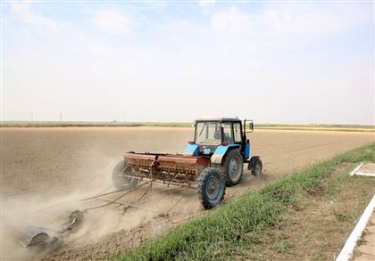 Европейский рис может хлынуть в Казахстан