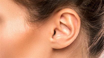 Женщине напечатали выращенное из ее клеток ухо