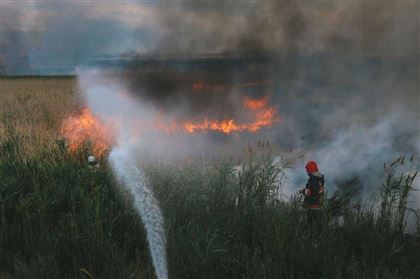 Сухостой горит близ Талдыколя в Нур-Султане
