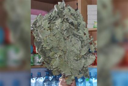 Жителя ЗКО оштрафовали на 1,2 миллиона тенге за заготовку банных веников 