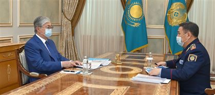 Министр внутренних дел доложил Токаеву о криминогенной обстановке