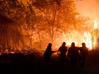 В Словении тушат самый крупный в истории лесной пожар