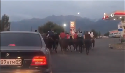 "Только лошадей губят" - на улицах Талгара снова устроили кокпар - видео