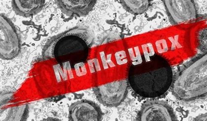 В Черногории выявили первый случай оспы обезьян