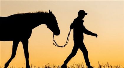 В Алматинской области всадник погиб вместе с лошадью