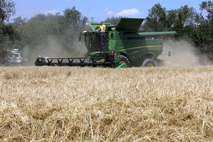 Падение цен на зерно в Казахстане: какую роль сыграла Россия 
