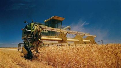 В РК в этом году планируют собрать около 18 млн тонн зерновых